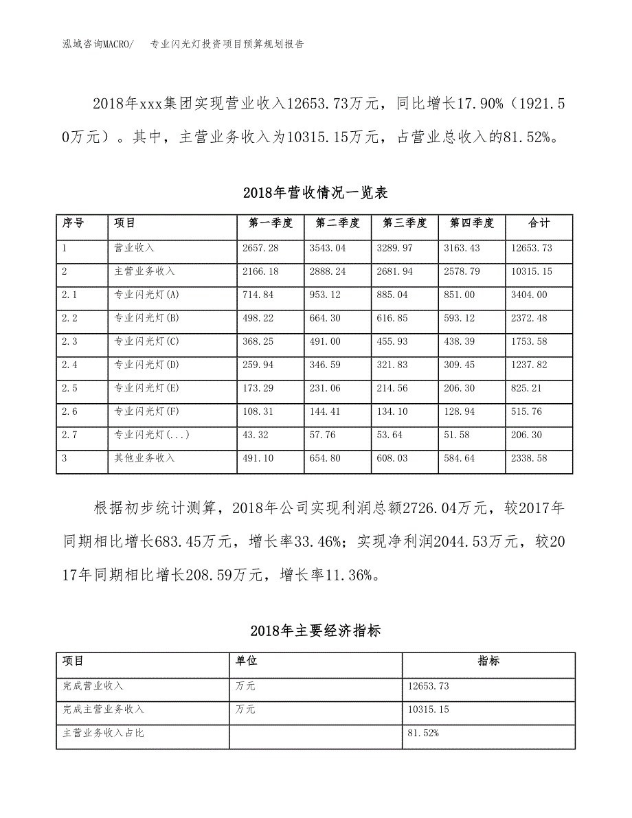 专业闪光灯投资项目预算规划报告_第3页