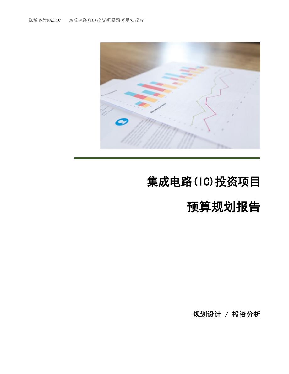 集成电路(IC)投资项目预算规划报告_第1页
