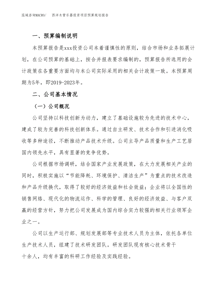 西洋木管乐器投资项目预算规划报告_第2页