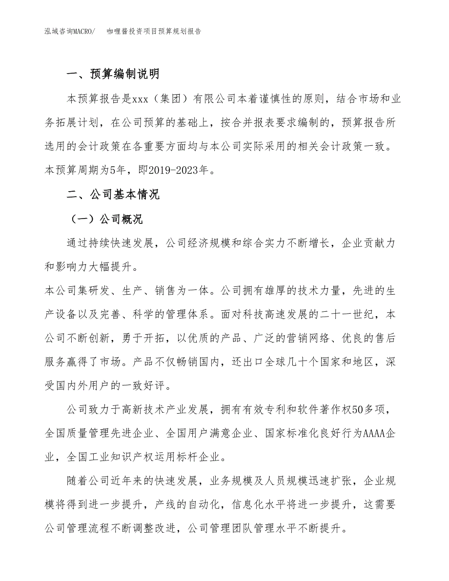 咖喱酱投资项目预算规划报告_第2页