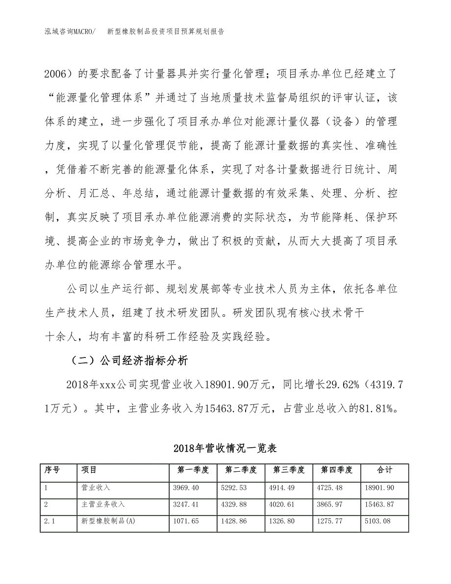 新型橡胶制品投资项目预算规划报告_第3页