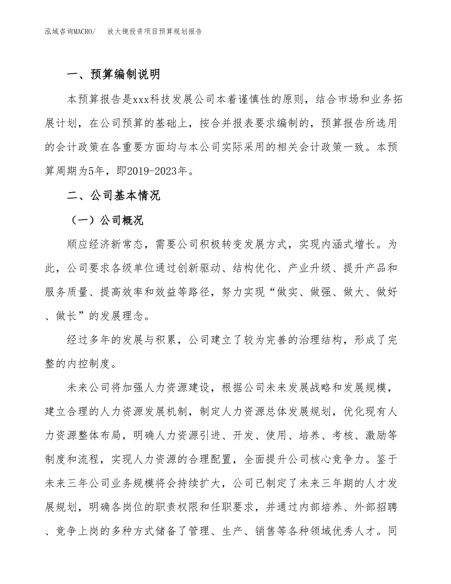 放大镜投资项目预算规划报告_第2页