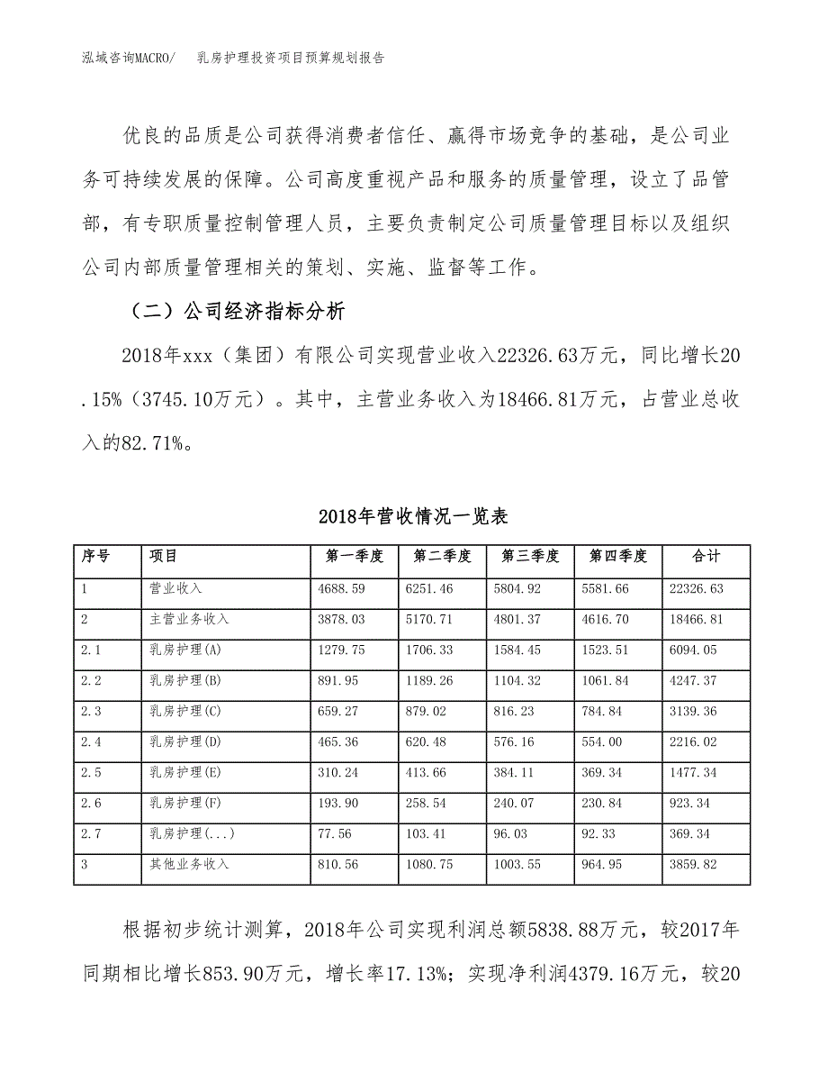 乳房护理投资项目预算规划报告_第3页