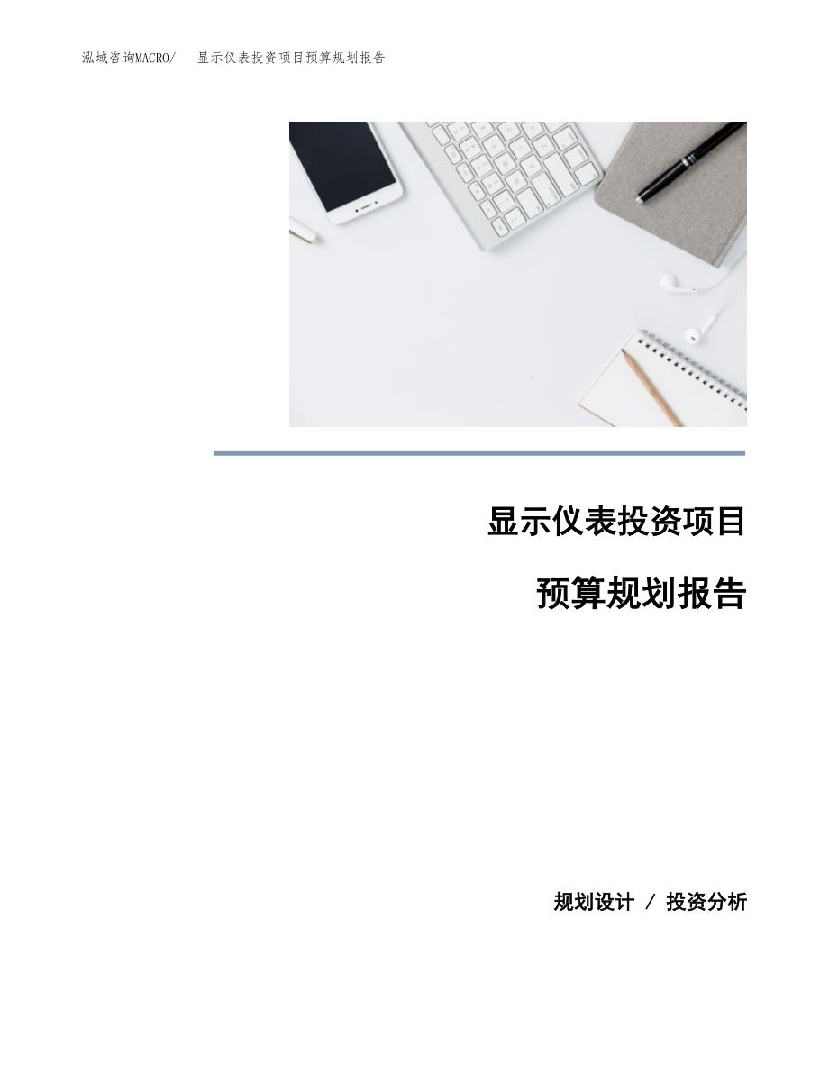 显示仪表投资项目预算规划报告_第1页