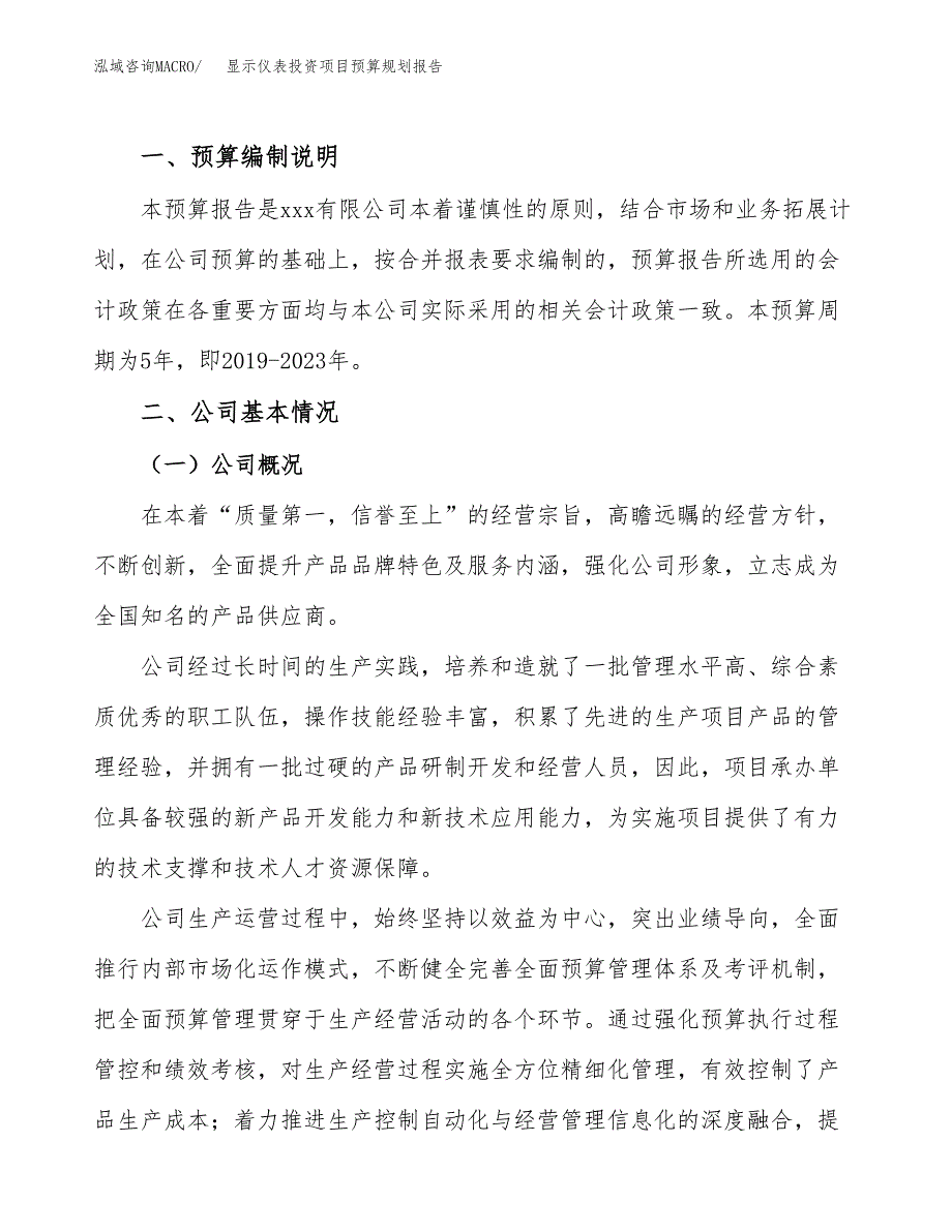 显示仪表投资项目预算规划报告_第2页