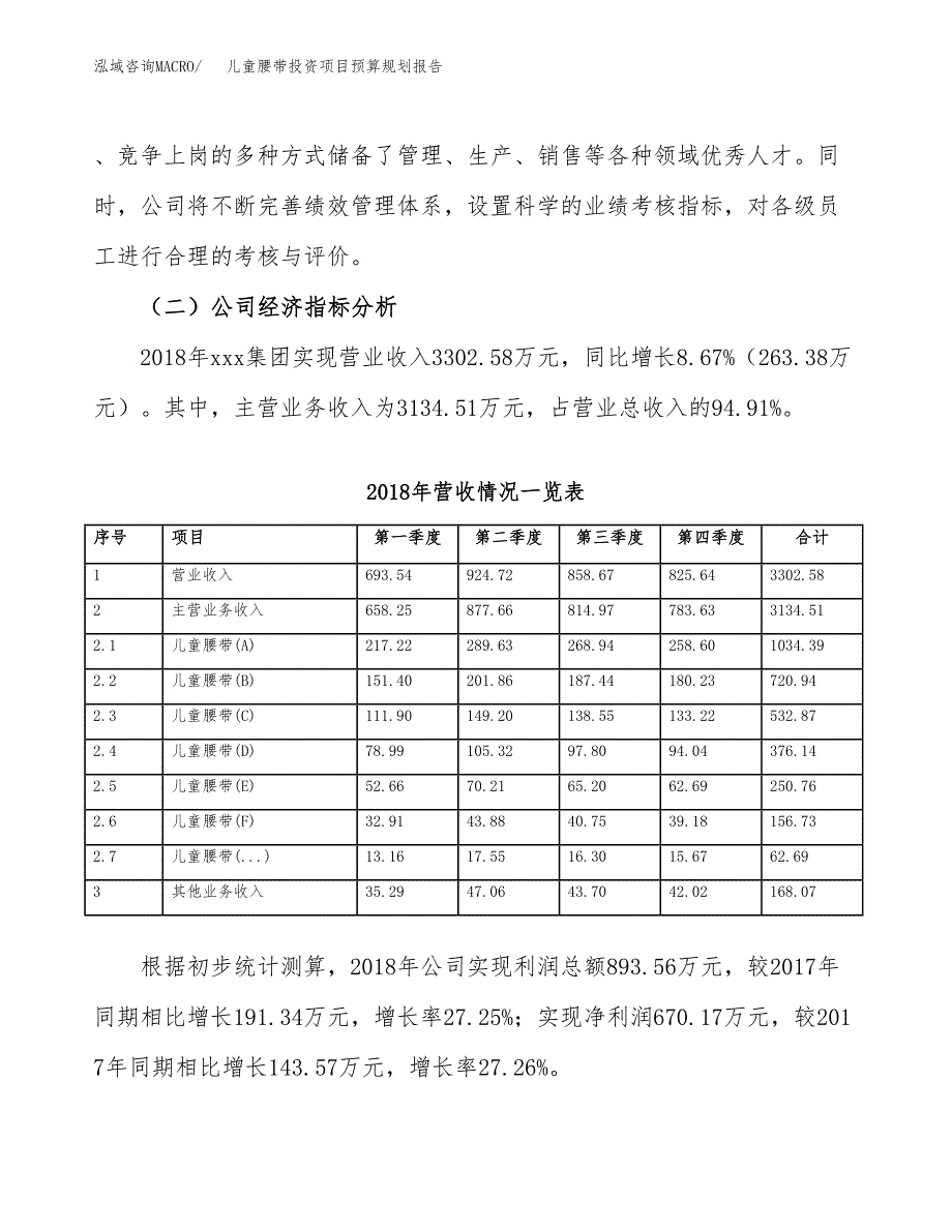 儿童腰带投资项目预算规划报告_第3页