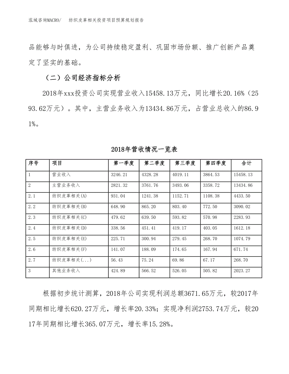 纺织皮革相关投资项目预算规划报告_第3页