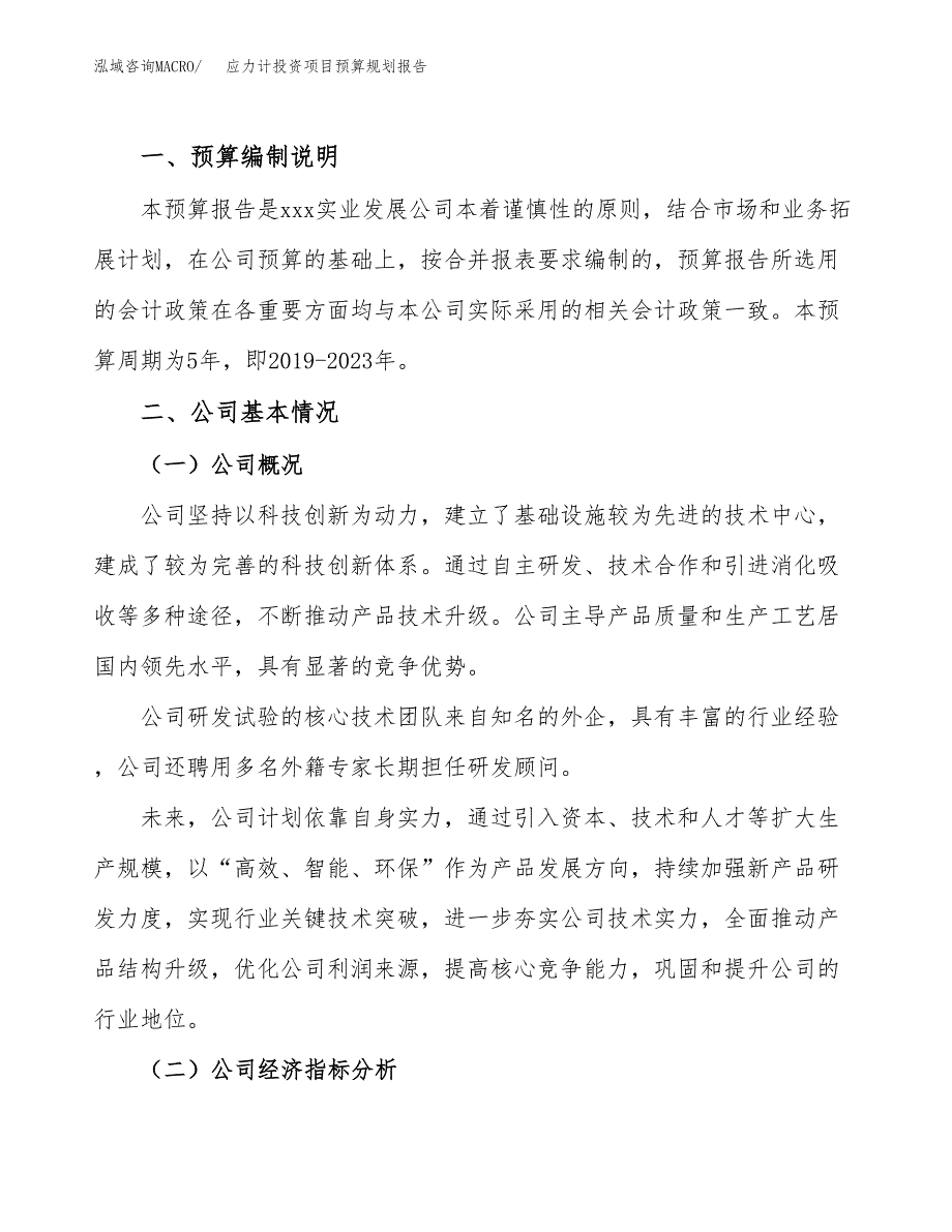 应力计投资项目预算规划报告_第2页