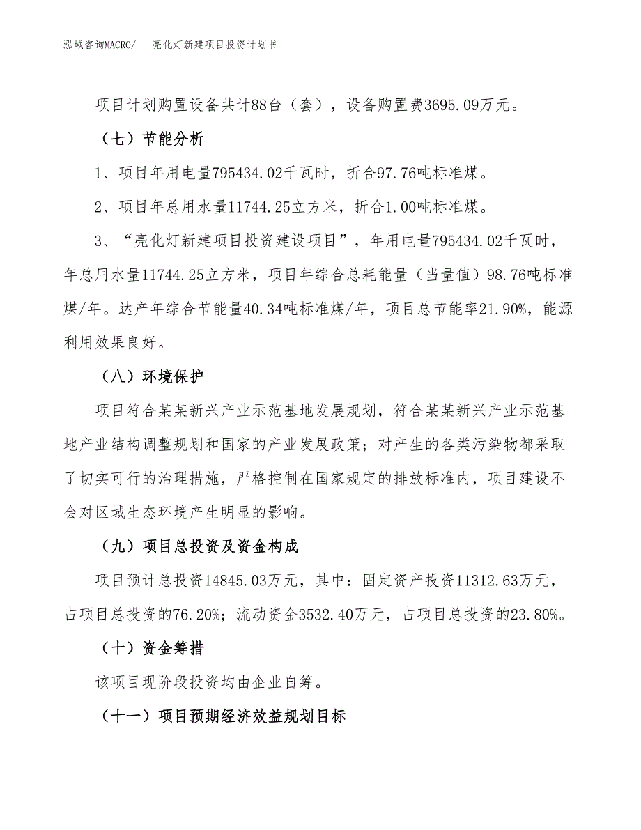 亮化灯新建项目投资计划书_第3页