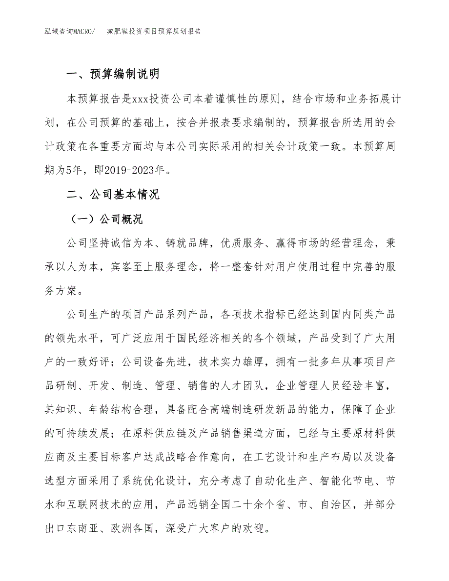 减肥鞋投资项目预算规划报告_第2页