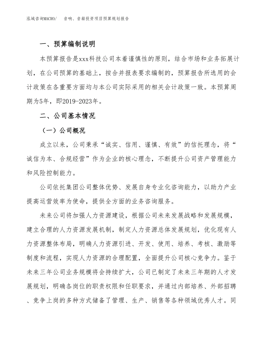 音响、音箱投资项目预算规划报告_第2页