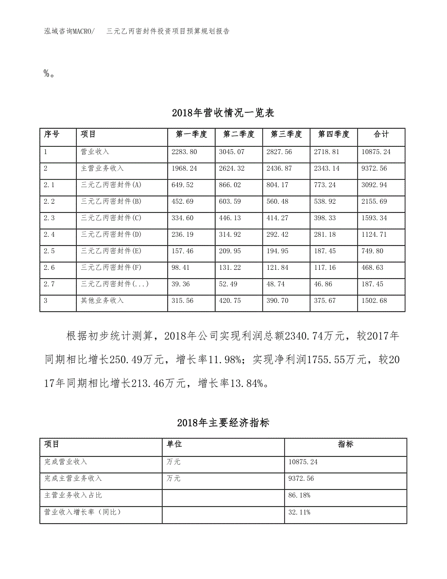 三元乙丙密封件投资项目预算规划报告_第3页
