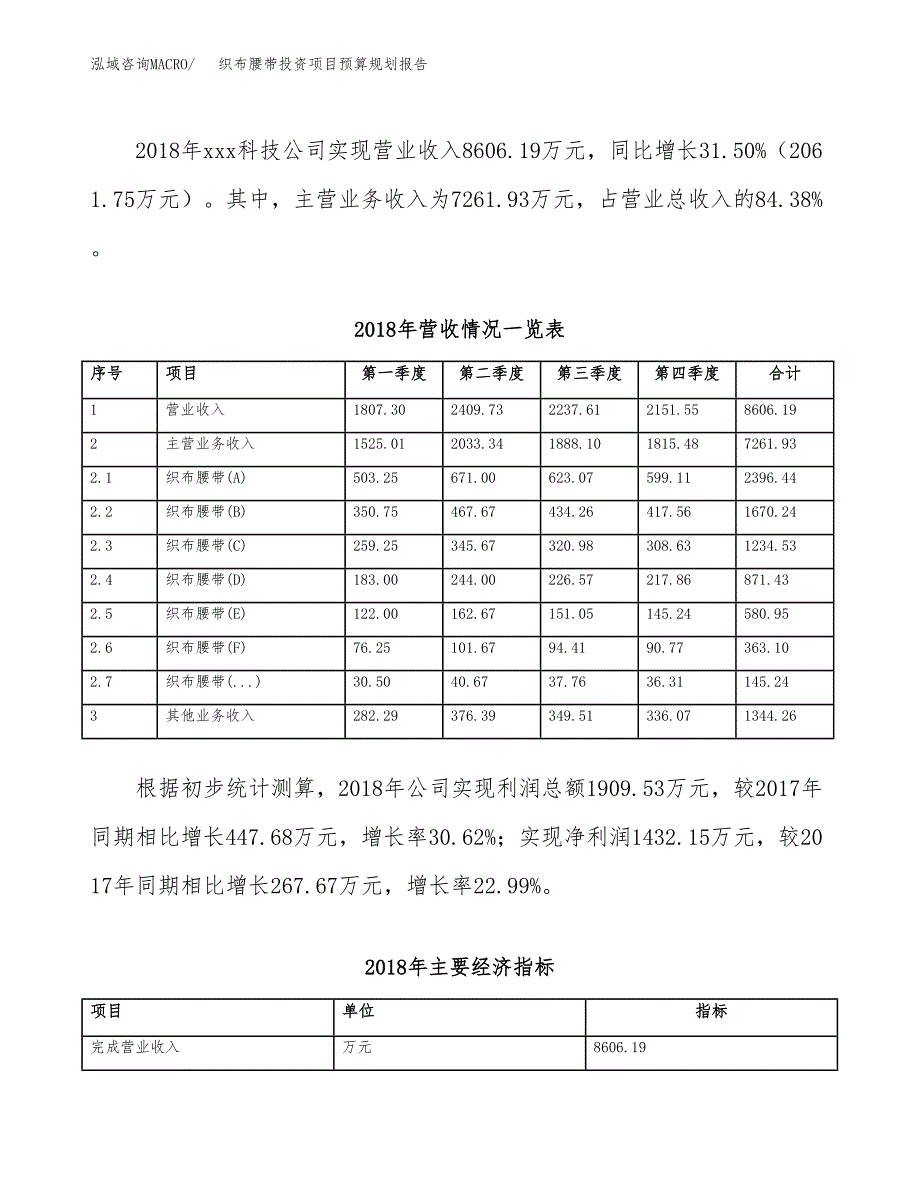 织布腰带投资项目预算规划报告_第3页