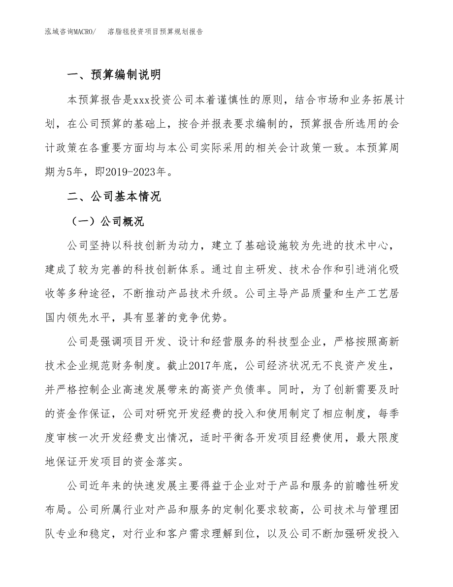 溶脂毯投资项目预算规划报告_第2页