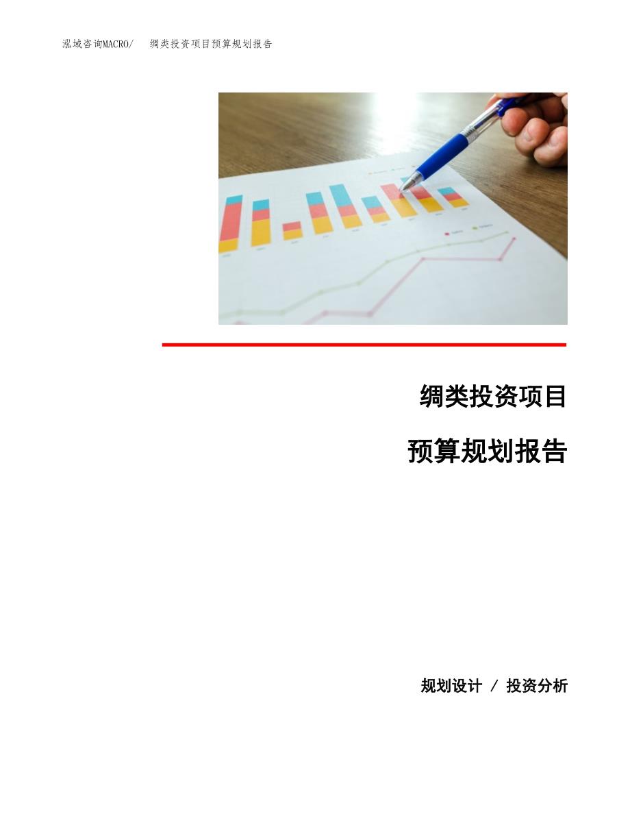 绸类投资项目预算规划报告_第1页