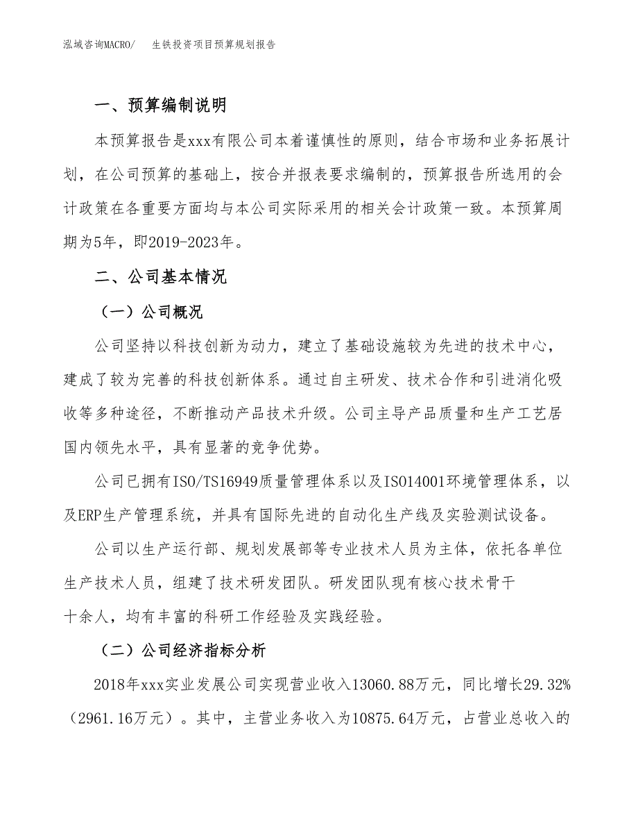 生铁投资项目预算规划报告_第2页