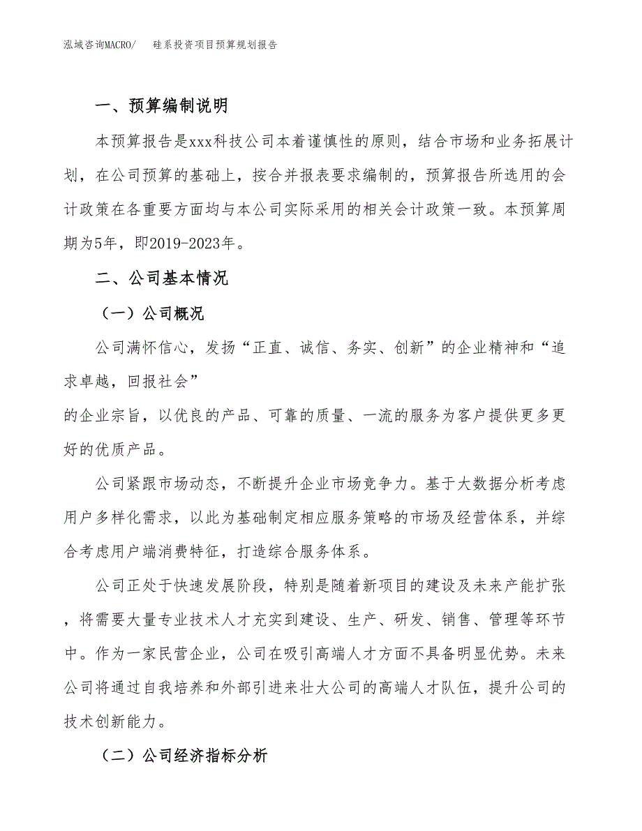 硅系投资项目预算规划报告_第2页