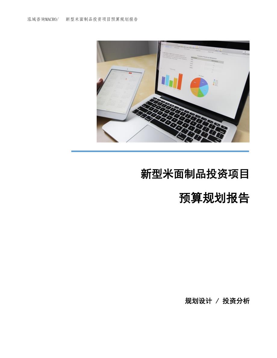 新型米面制品投资项目预算规划报告_第1页