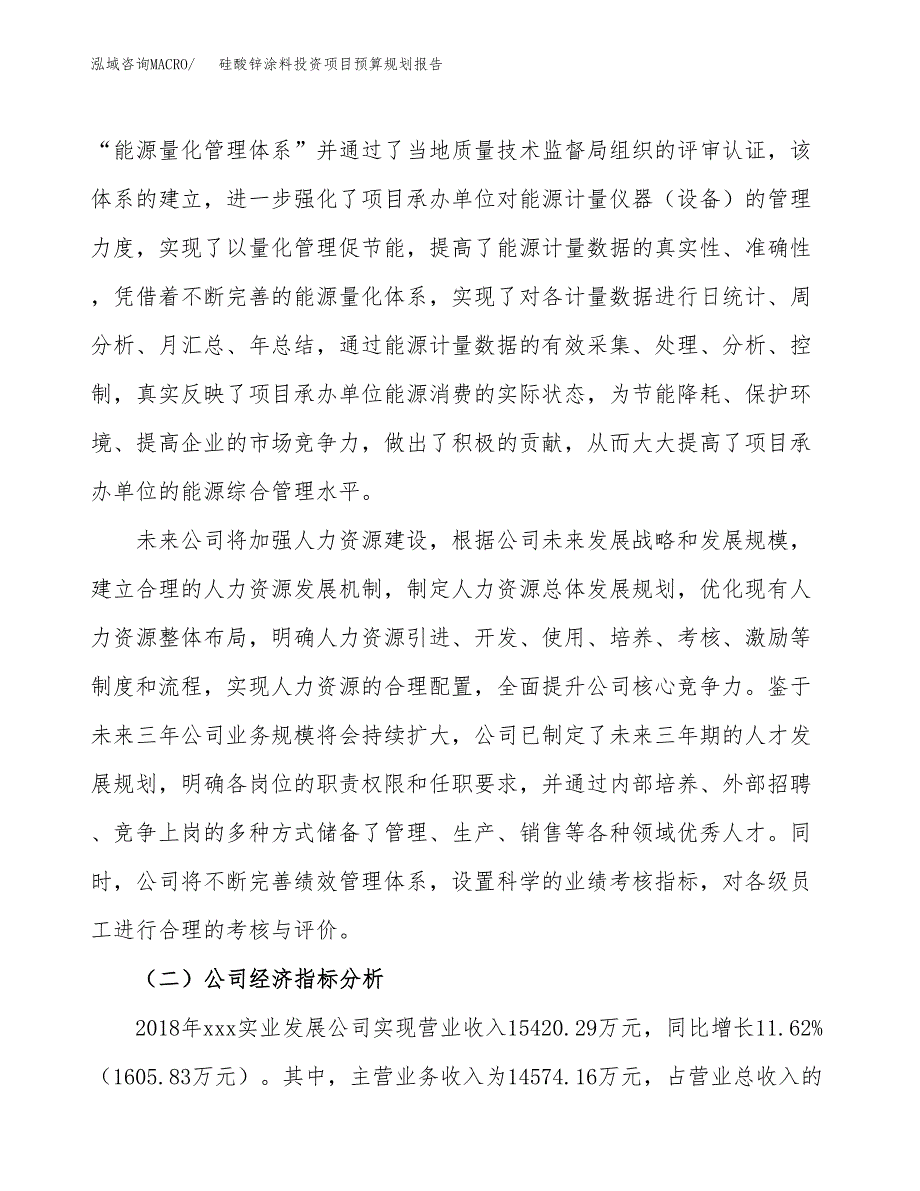 硅酸锌涂料投资项目预算规划报告_第3页