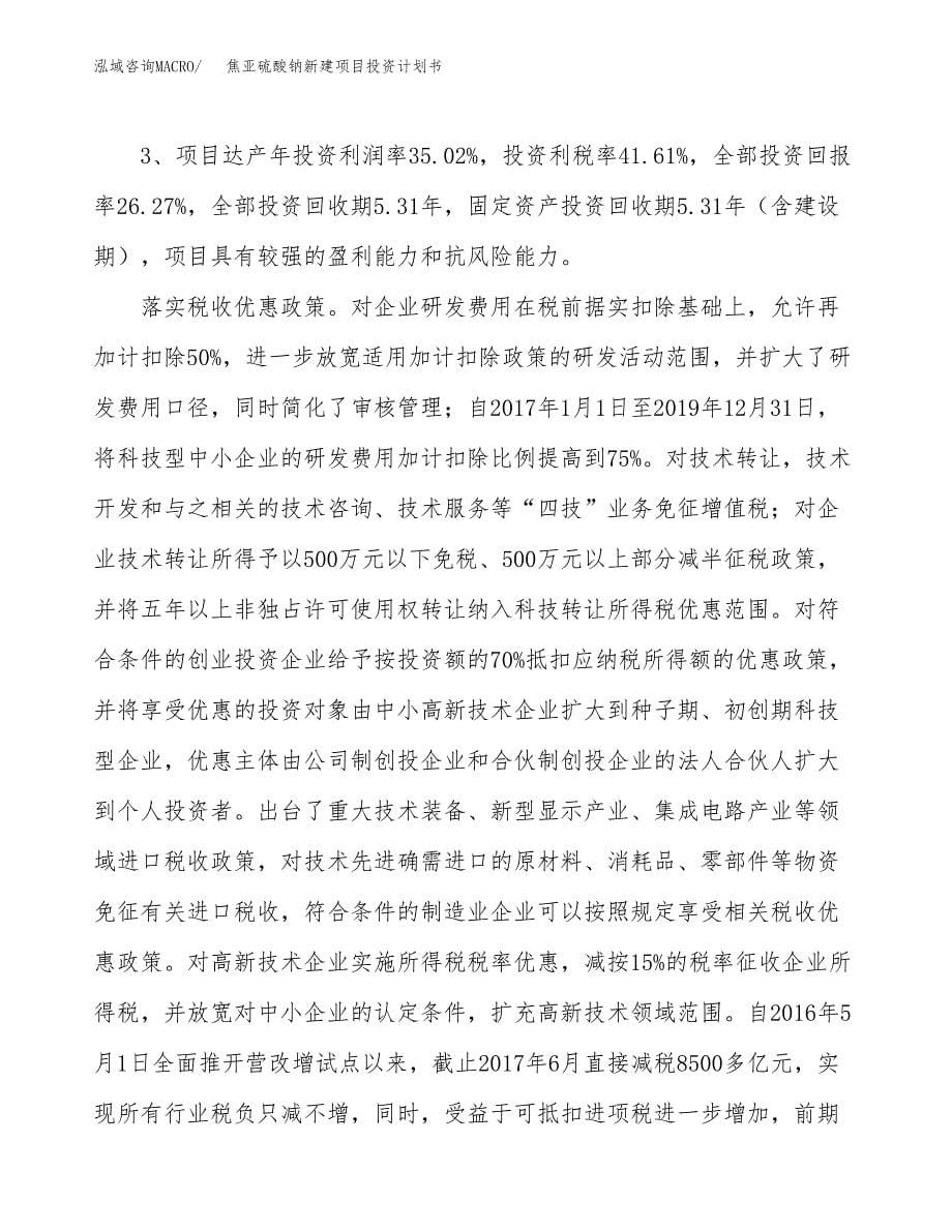 焦亚硫酸钠新建项目投资计划书_第5页