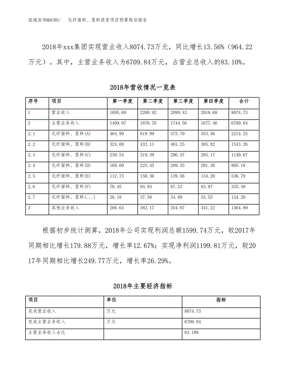 化纤面料、里料投资项目预算规划报告_第3页