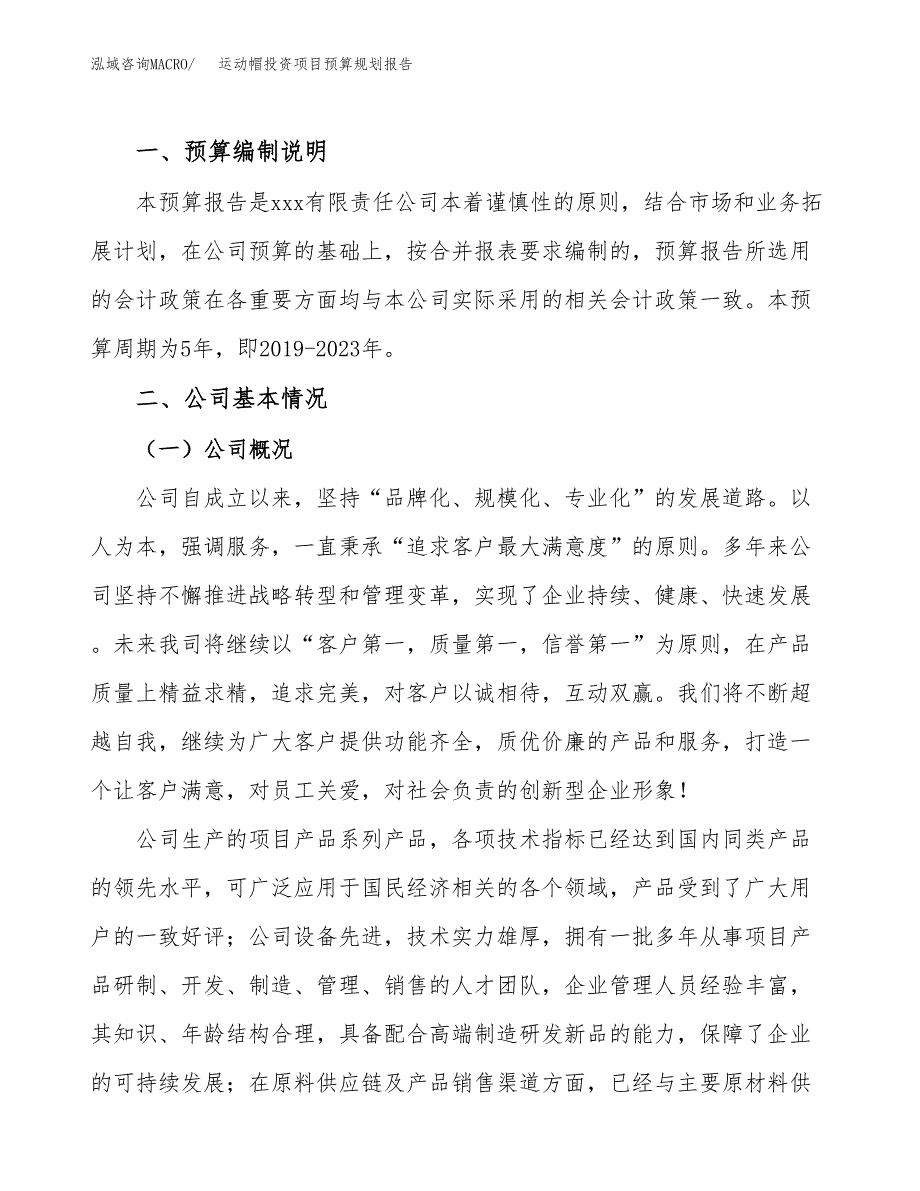 运动帽投资项目预算规划报告_第2页