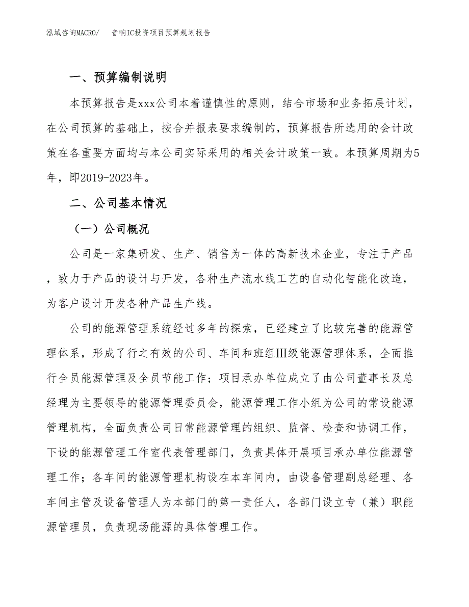 音响IC投资项目预算规划报告_第2页