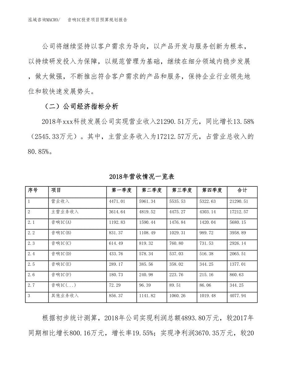 音响IC投资项目预算规划报告_第3页