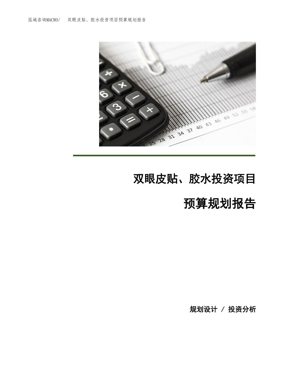 双眼皮贴、胶水投资项目预算规划报告_第1页