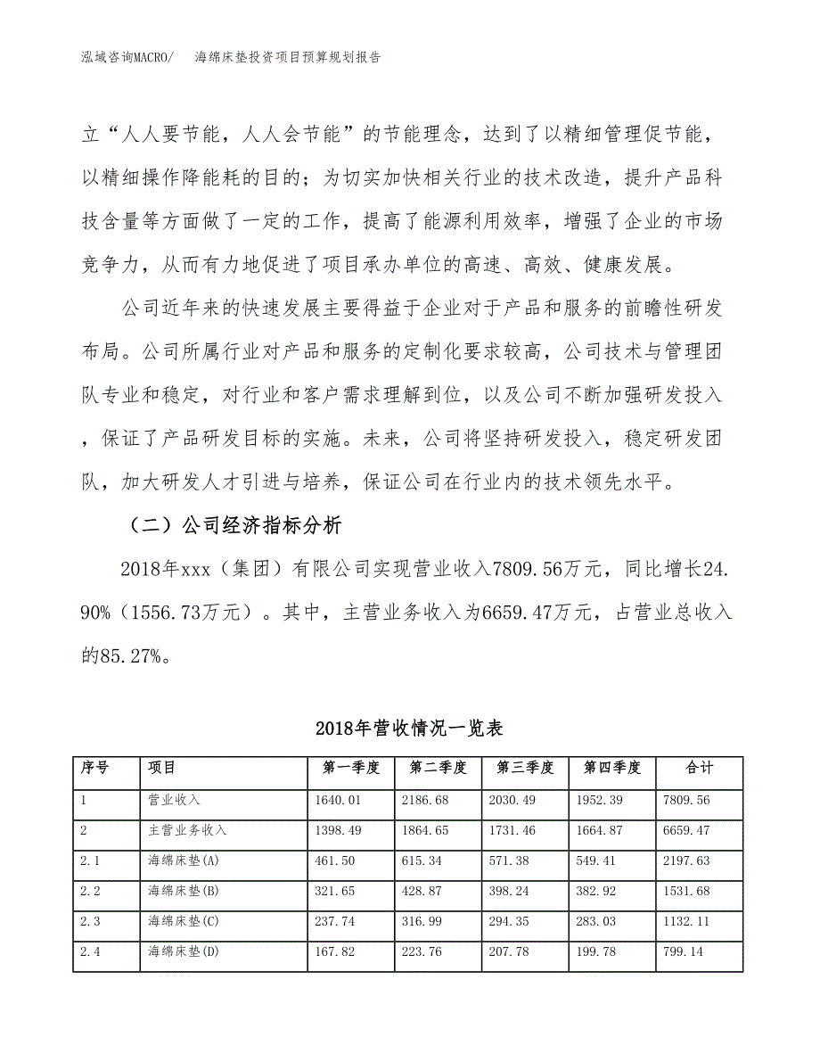 海绵床垫投资项目预算规划报告_第3页