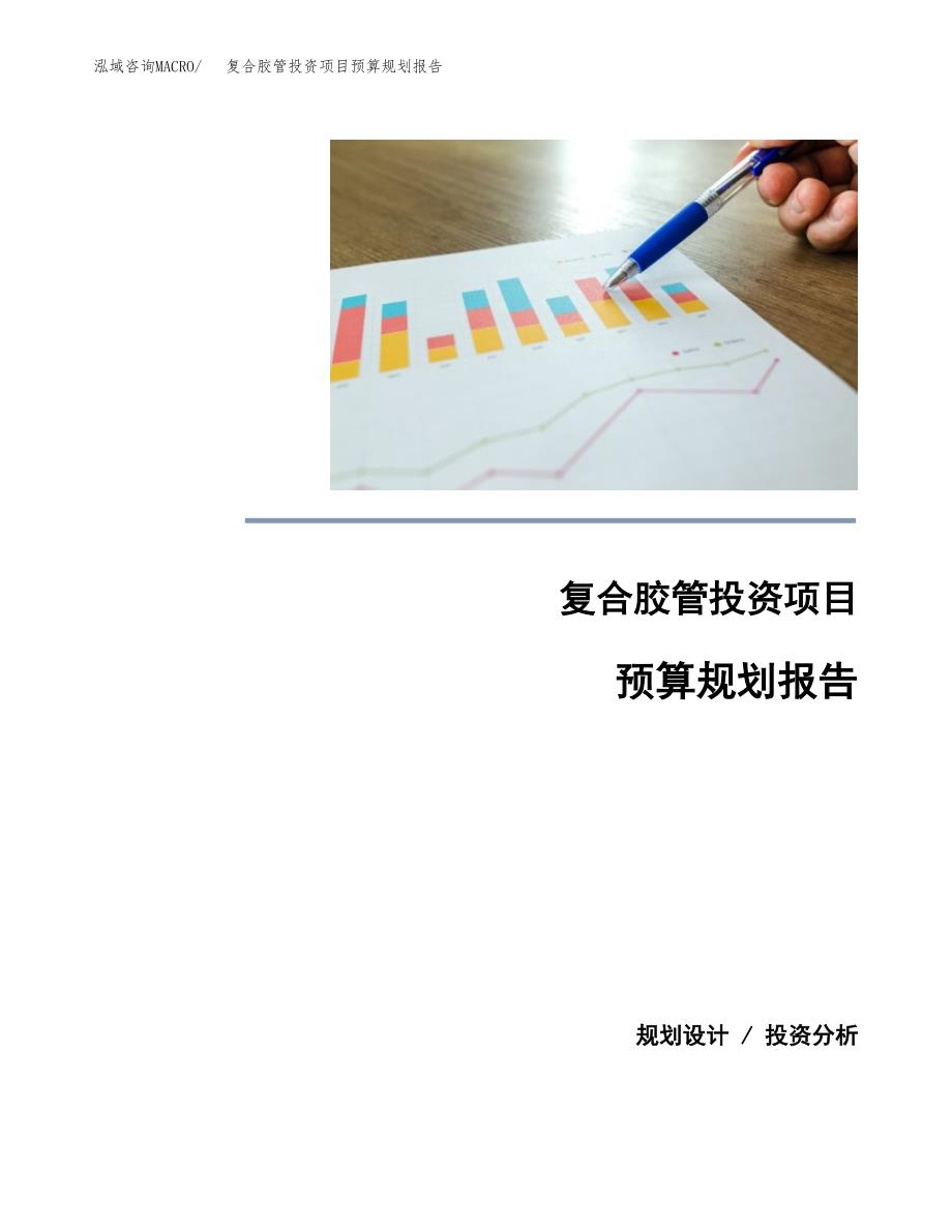 复合胶管投资项目预算规划报告_第1页