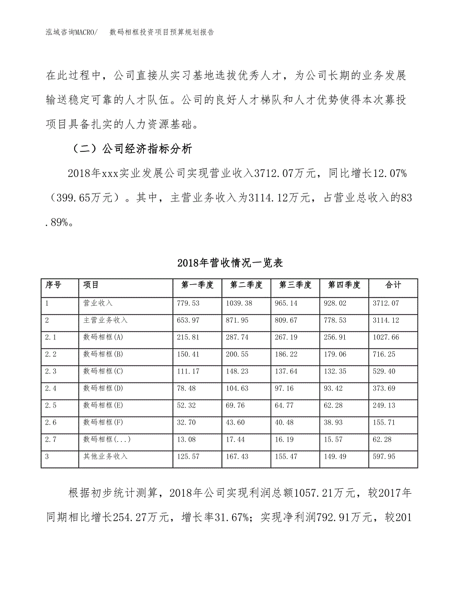 数码相框投资项目预算规划报告_第3页