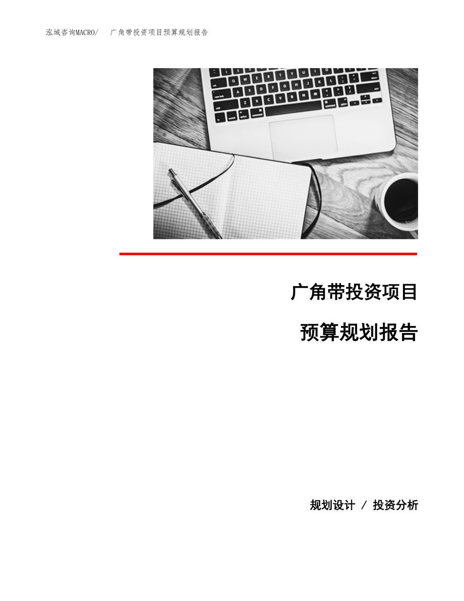 广角带投资项目预算规划报告_第1页