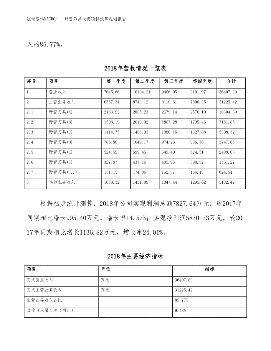 野营刀具投资项目预算规划报告_第3页