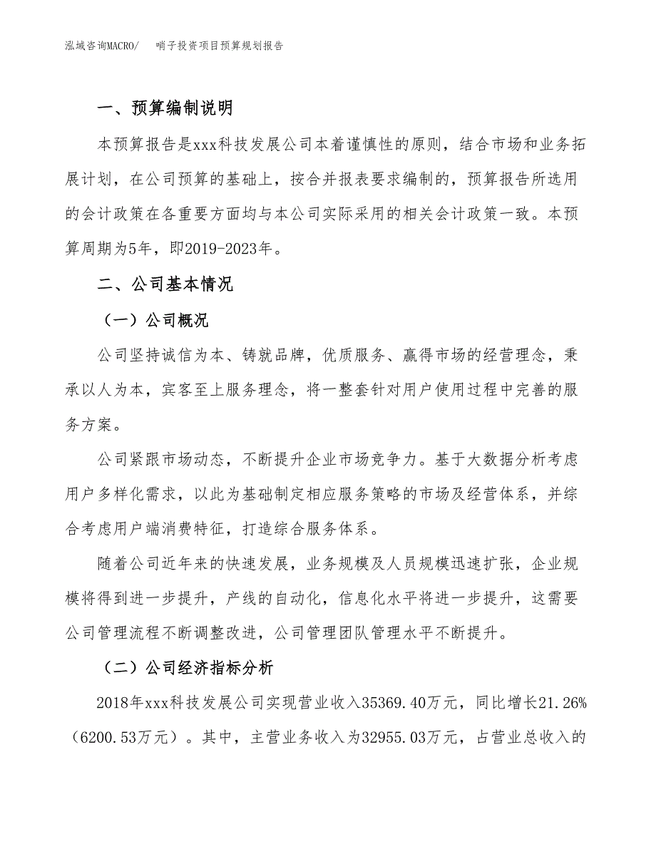 哨子投资项目预算规划报告_第2页