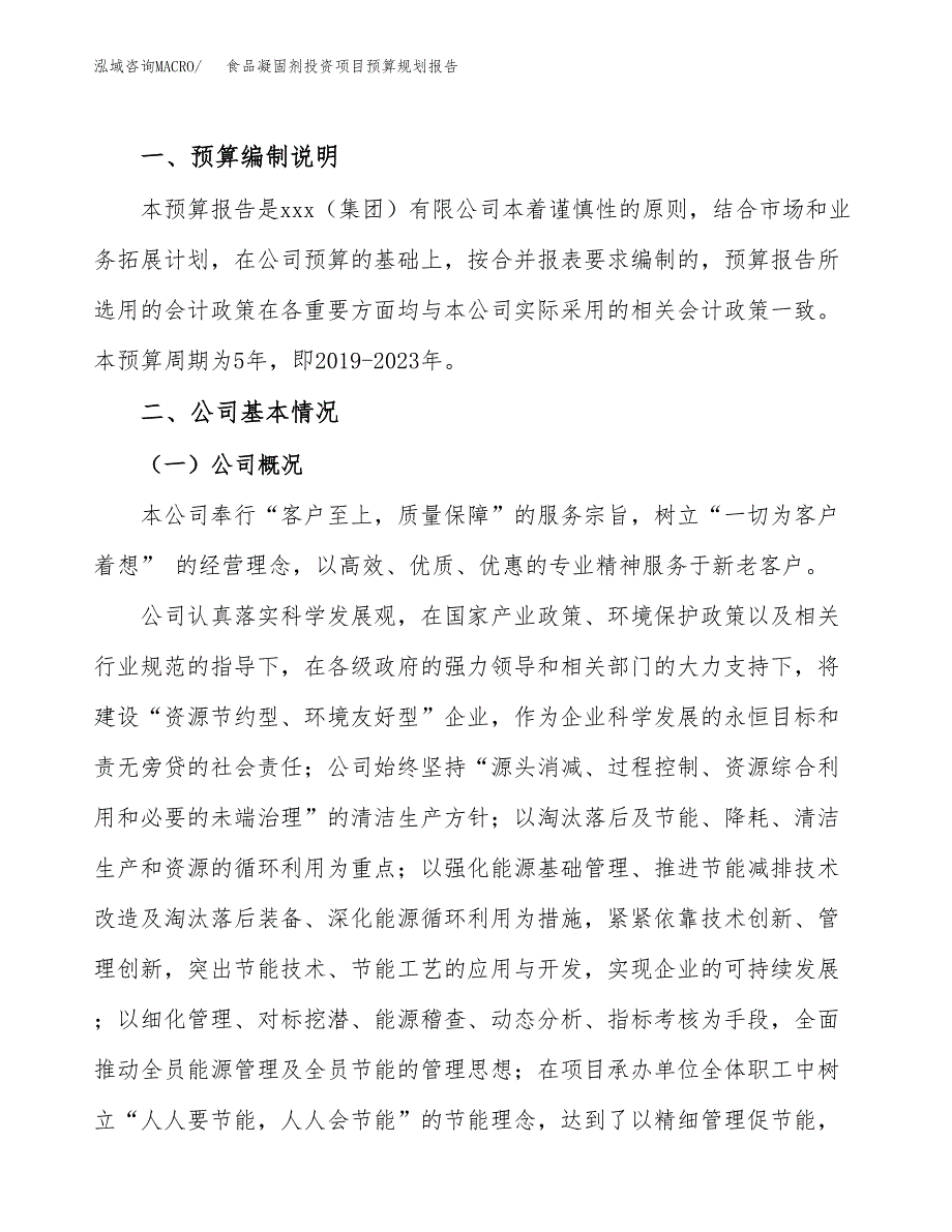 食品凝固剂投资项目预算规划报告_第2页