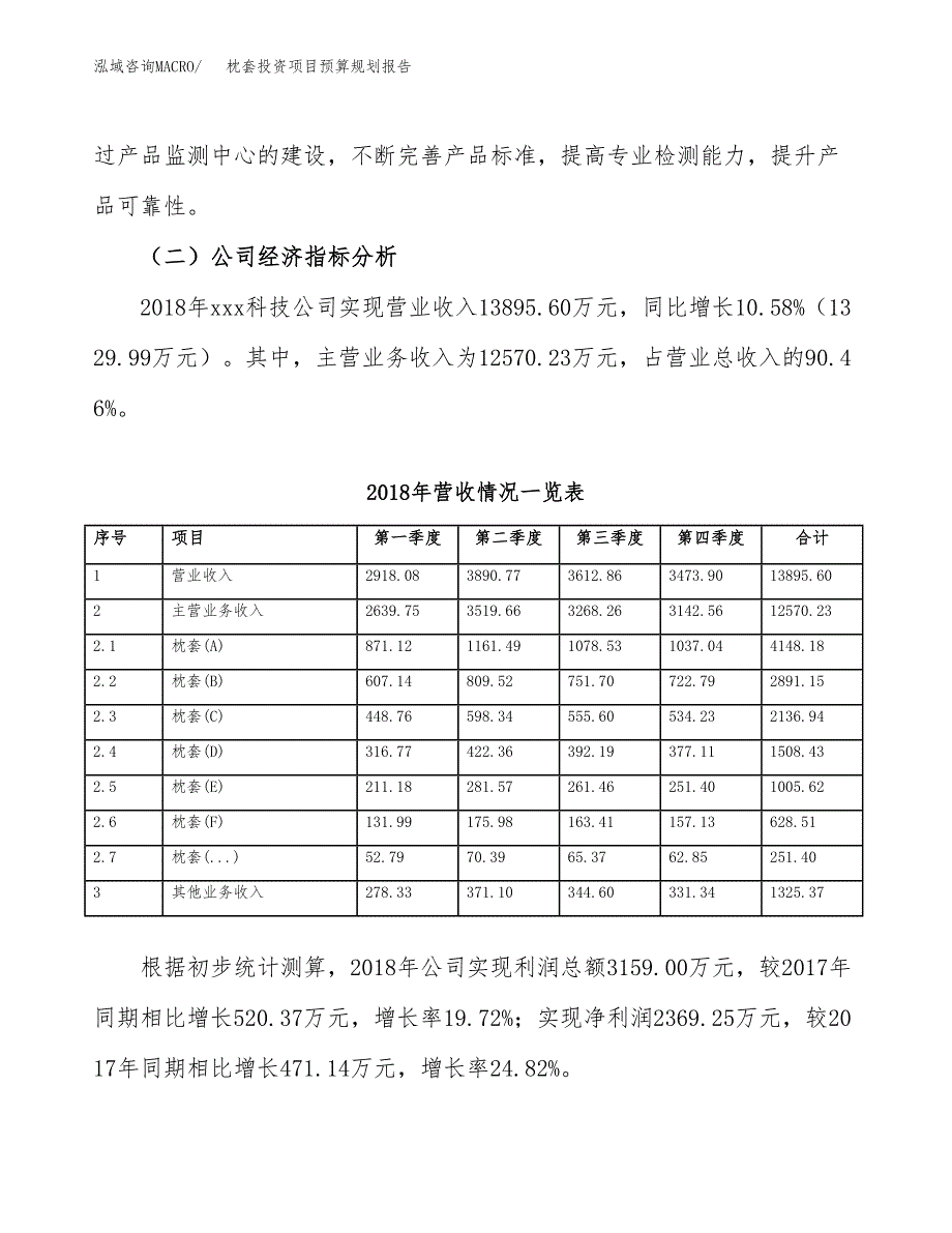 枕套投资项目预算规划报告_第3页