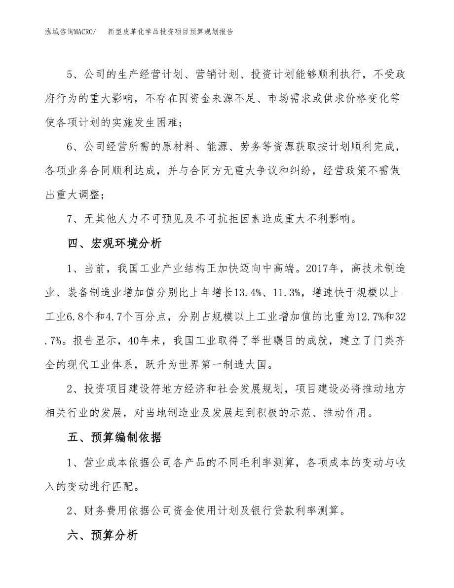 新型皮革化学品投资项目预算规划报告_第5页