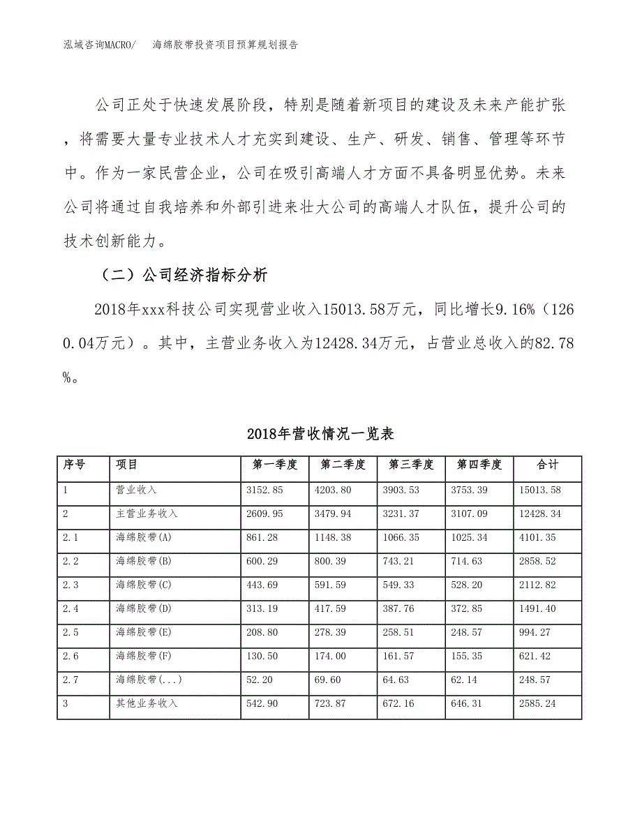 海绵胶带投资项目预算规划报告_第3页