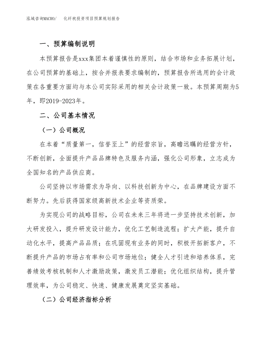 化纤枕投资项目预算规划报告_第2页