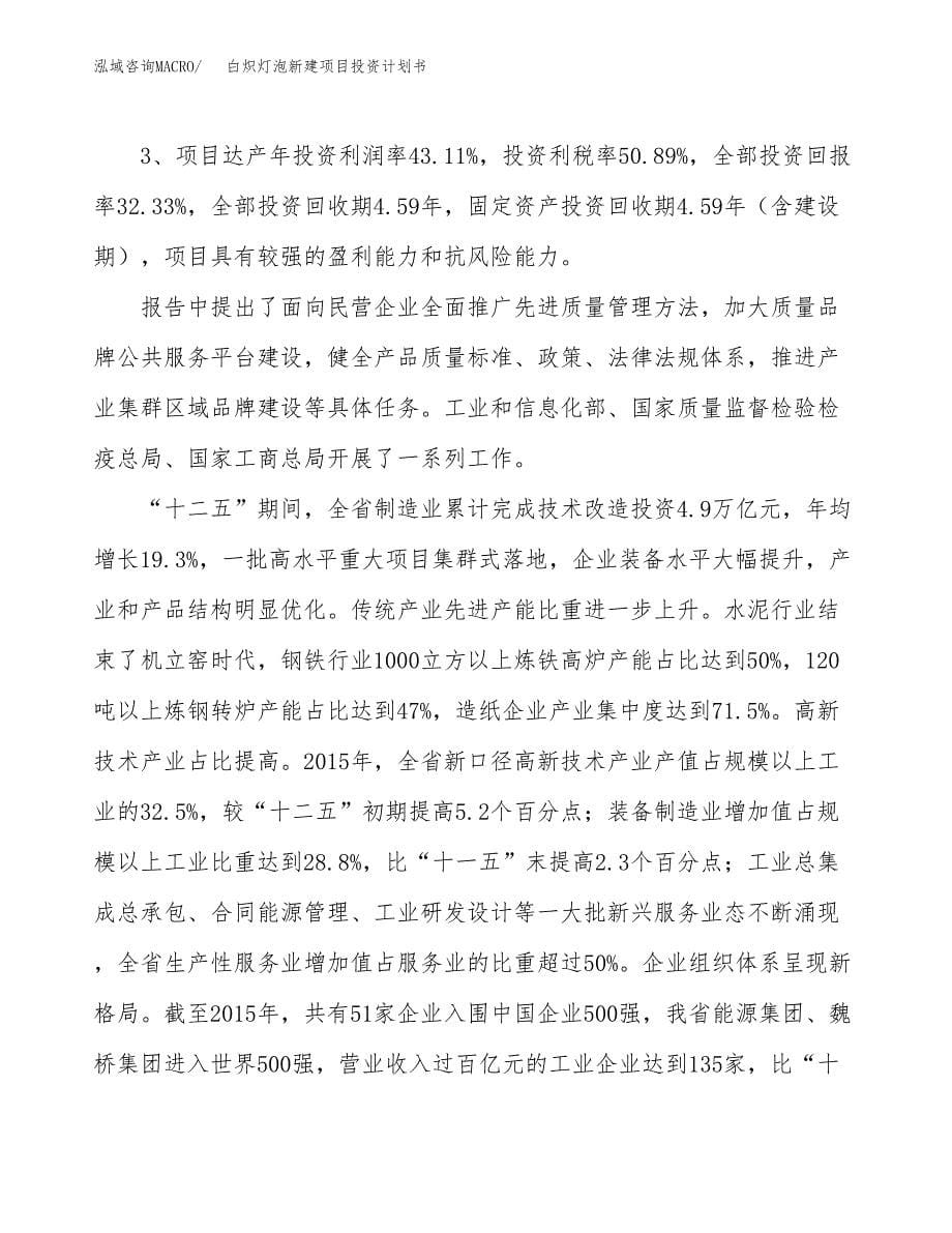 白炽灯泡新建项目投资计划书_第5页