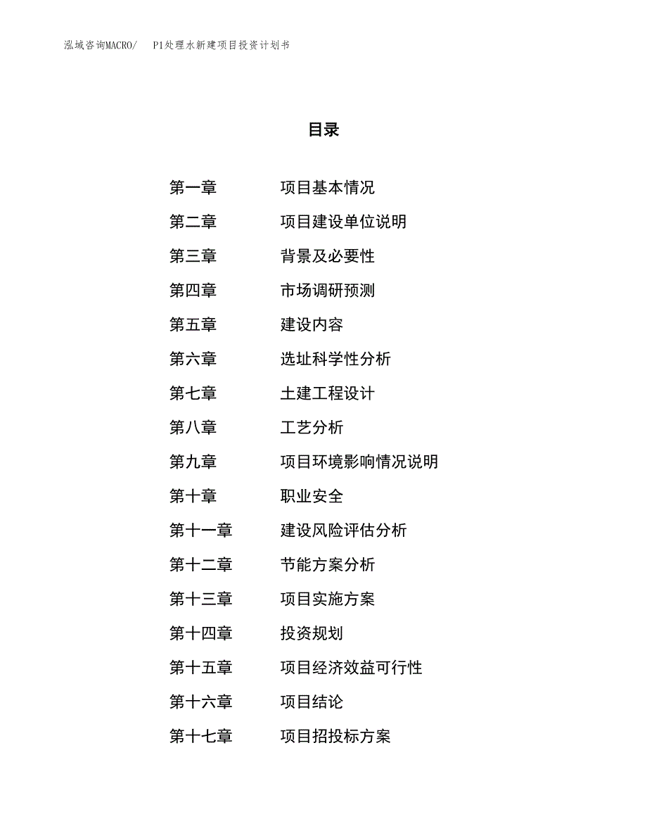 P1处理水新建项目投资计划书_第1页