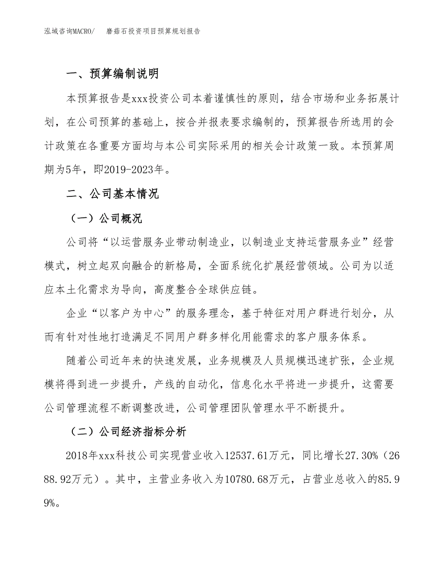 磨菇石投资项目预算规划报告_第2页