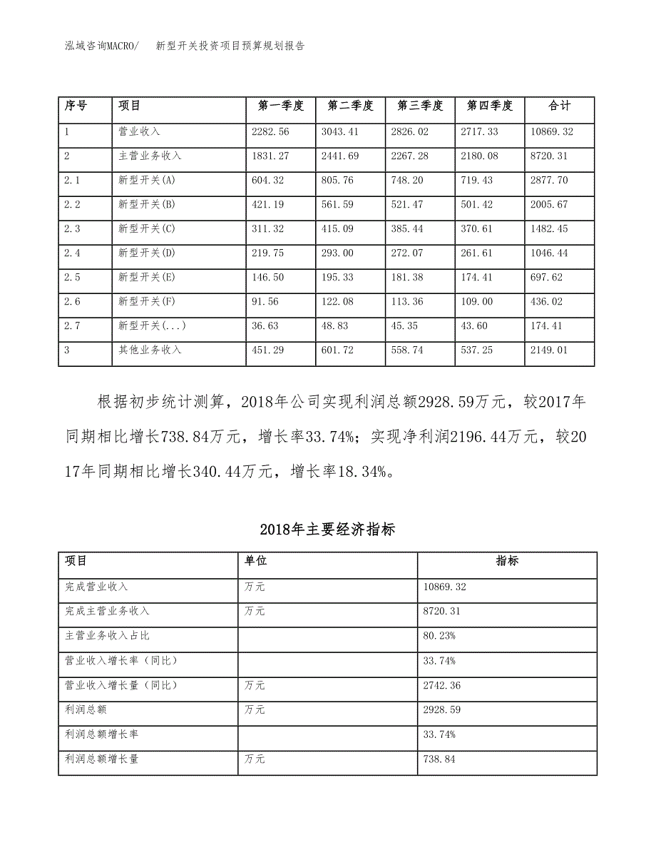 新型开关投资项目预算规划报告_第3页