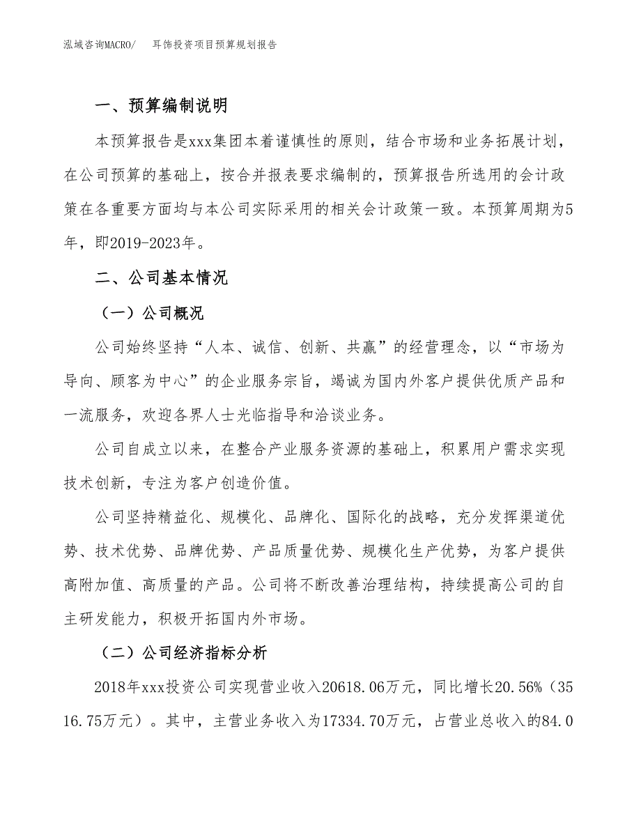 耳饰投资项目预算规划报告_第2页