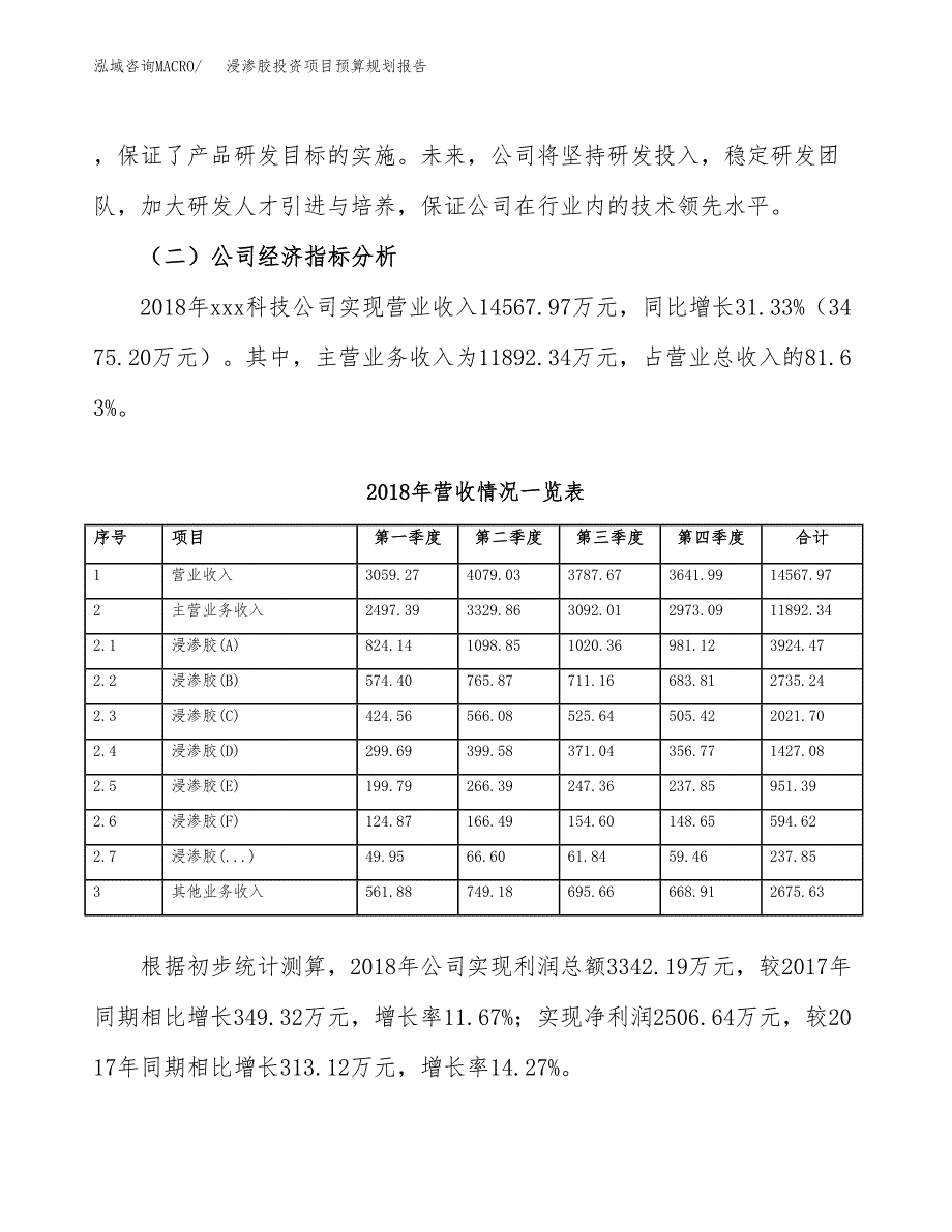 浸渗胶投资项目预算规划报告_第3页