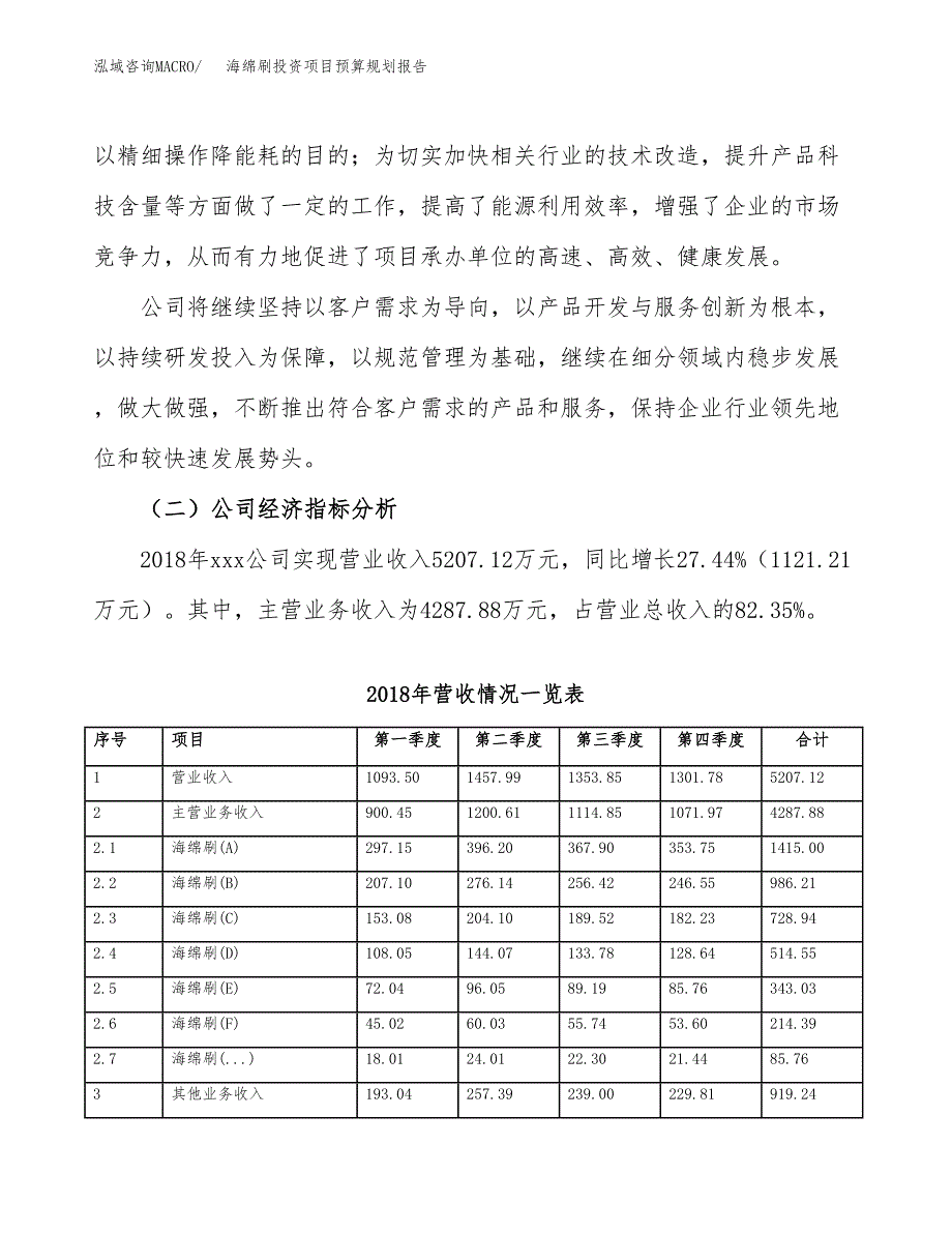 海绵刷投资项目预算规划报告_第3页