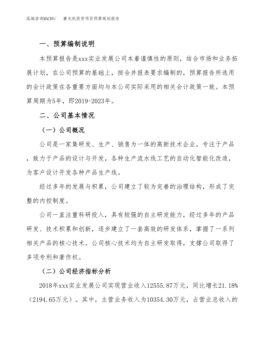 磨光机投资项目预算规划报告_第2页