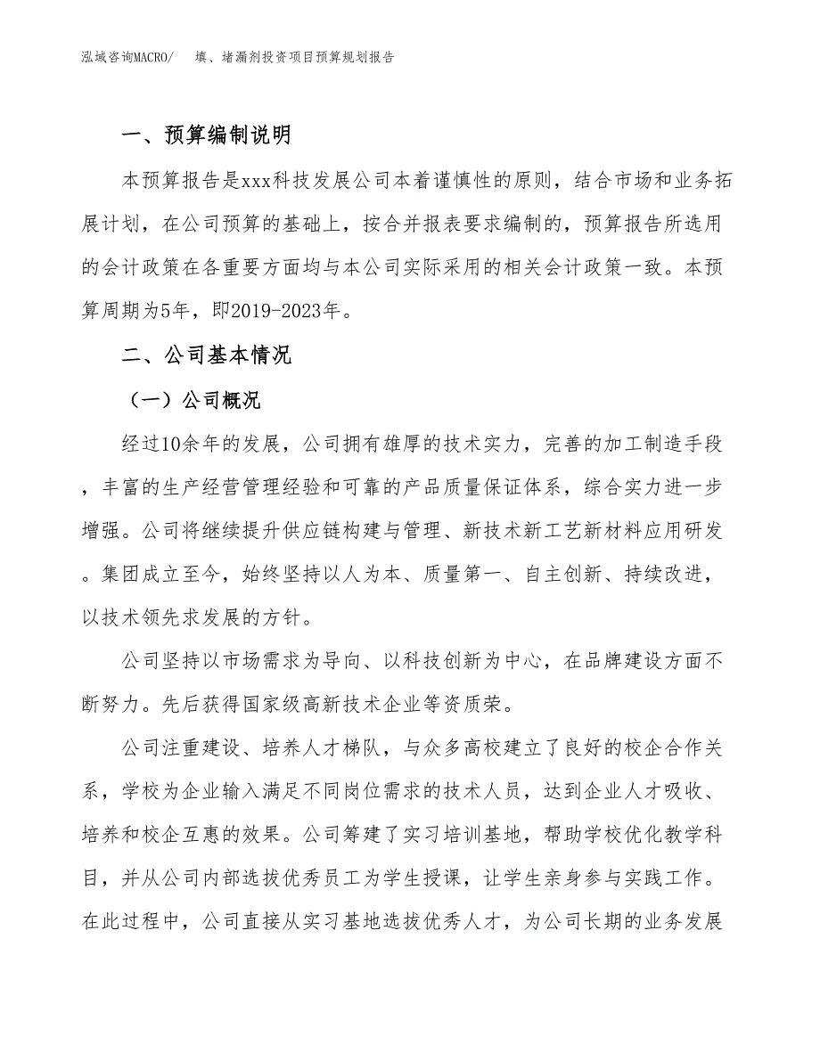 填、堵漏剂投资项目预算规划报告_第2页