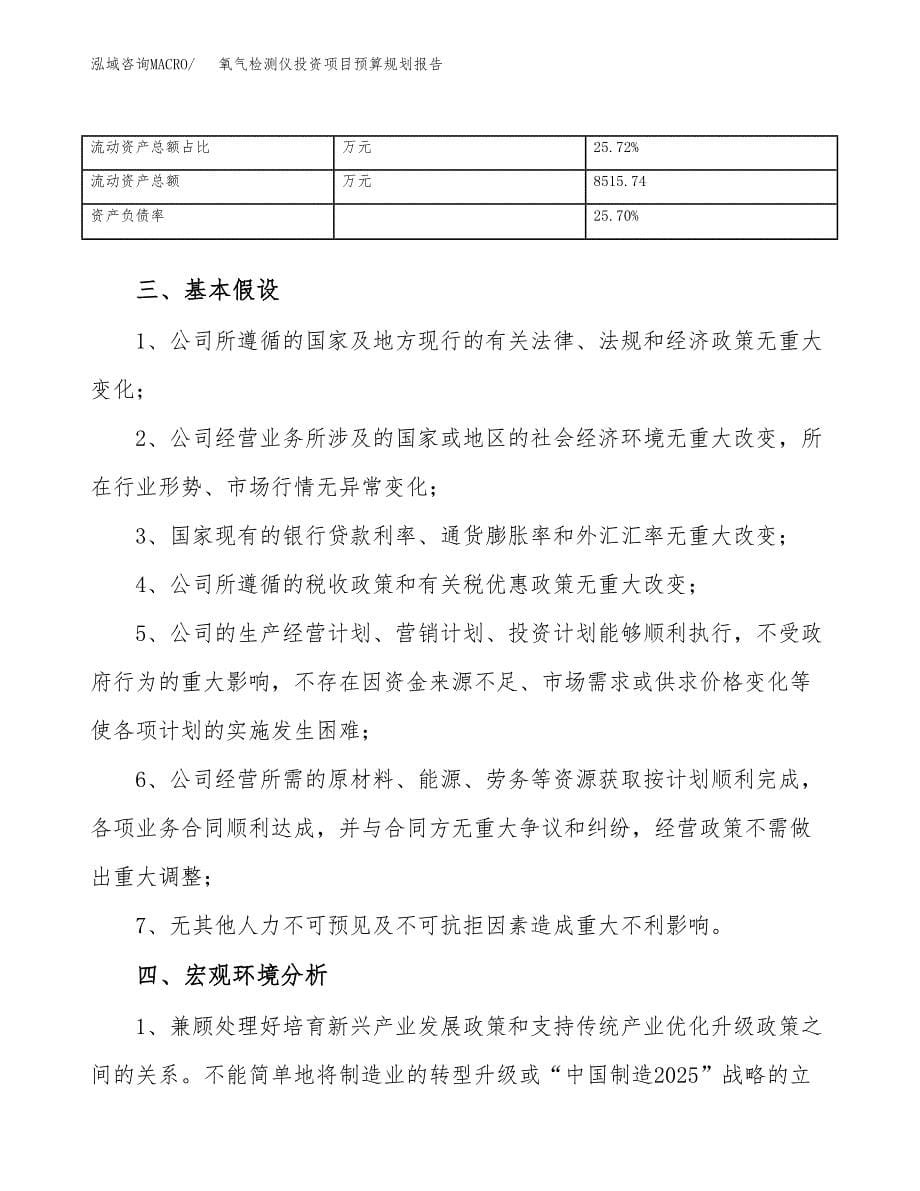 氧气检测仪投资项目预算规划报告_第5页